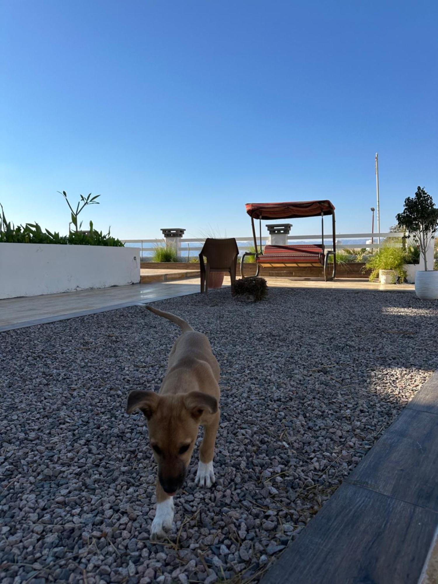Aqaba Pro Divers Экстерьер фото